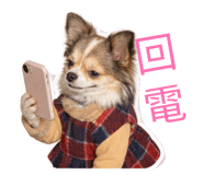 861106881