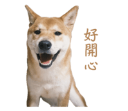861109785