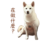 861109792