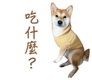 861109795