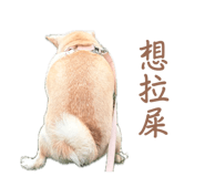 861109808