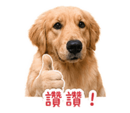 861111744