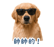 861111745