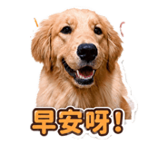 861111748