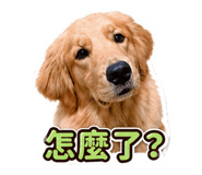861111749
