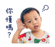 861114216