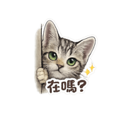 861114300