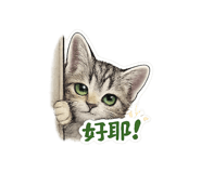 861114303