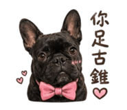 861114472