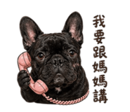 861114486