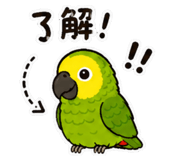 861119942