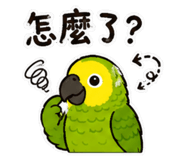 861119949