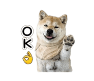 861120998