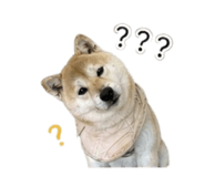 861121006