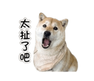 861121007