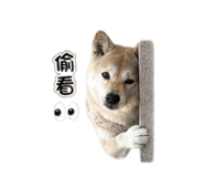 861121009