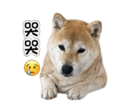 861121017