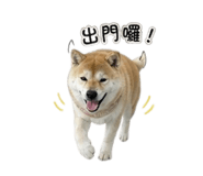 861121024