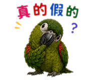 861123091