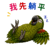 861123094