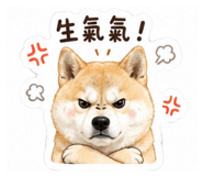 861123275