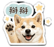 861123276