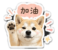 861123278