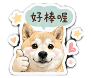 861123279