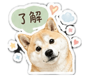 861123283