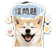 861123287