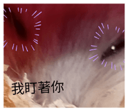 861123332