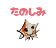 861128689