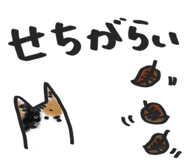 861128914
