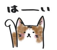 861128924