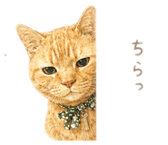 861133316