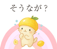 861134804
