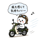 861136258