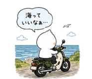 861136261