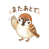 861137092