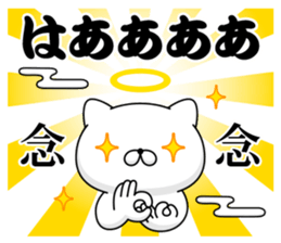 86116617