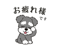 861205074