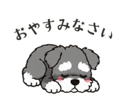 861205080