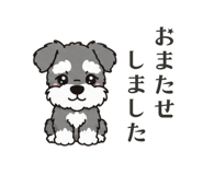 861205084