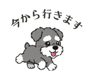 861205085
