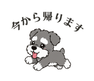861205086