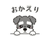 861205087