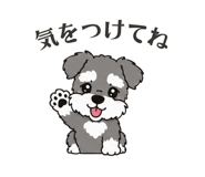 861205089