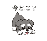 861205091