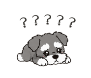 861205096