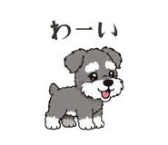 861205097